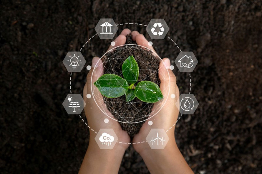 Hands holding a plant symbolizing the connection between sustainability and recycling in Dallas